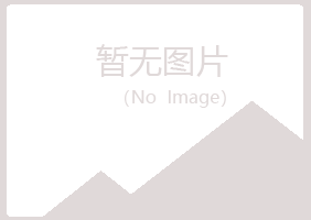 岳普湖县夏青化学有限公司